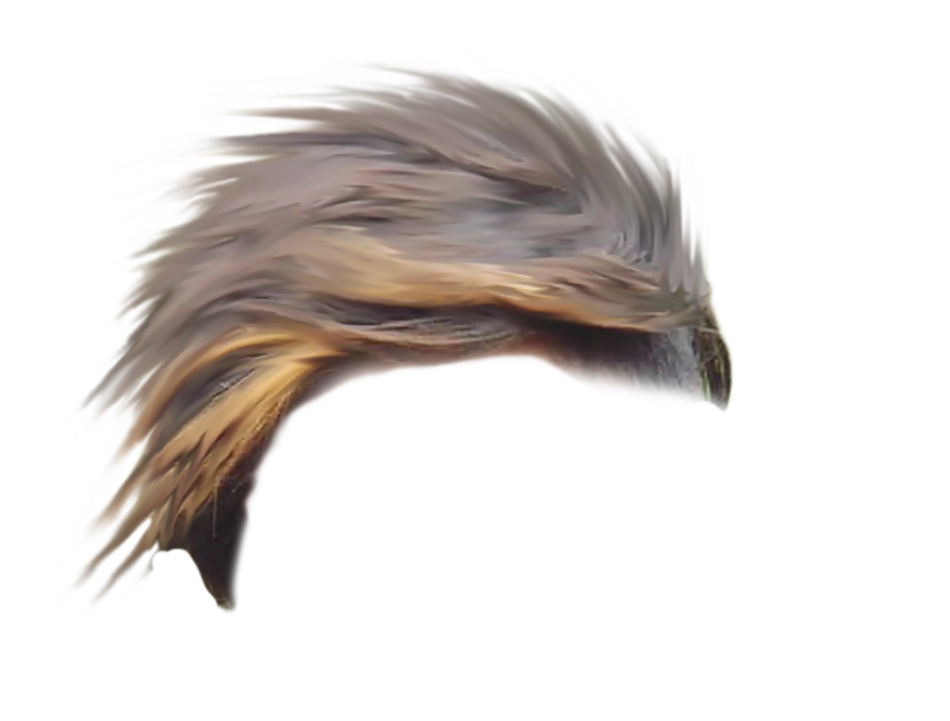 Men Hair Png, Hair Style Photo - CB Hair Png 2018 APK per Android Download Men Hair Png, Hair Style Photo - CB Hair Png 2018 APK per Android Download