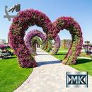 В мире цветов APK