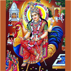 Shree Bahuchar icon