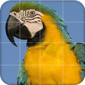 Bird Puzzle icon