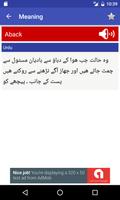 Urdu Dictionary | Offline screenshot 2