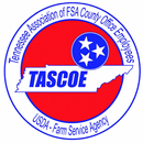 APK TASCOE