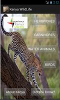 Kenya Wildlife App Affiche
