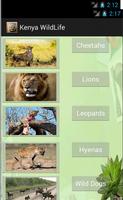Kenya Wildlife App اسکرین شاٹ 2