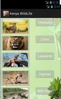 Kenya Wildlife App स्क्रीनशॉट 2