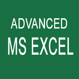 Learn MS Excel Advanced icône