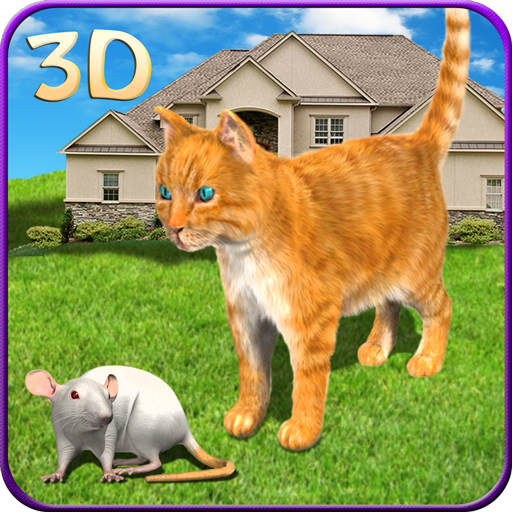 Cat vs Mouse Chase 3D