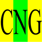 CNG Delhi icône