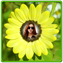 Sunflower Photo Frames APK