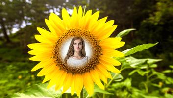 Sunflower Photo Frames स्क्रीनशॉट 3