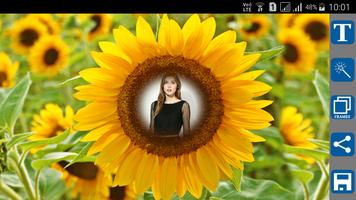 Sunflower Photo Frames पोस्टर