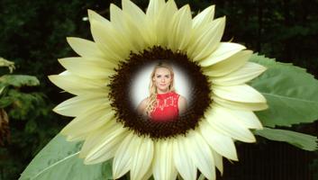 Sunflower Photo Frames स्क्रीनशॉट 1
