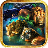 Big Cats Live Wallpaper