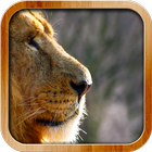 Wild Lion Live Wallpaper ikon