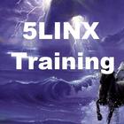 Struggling In 5LINX Business-icoon