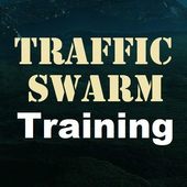 in traffic swarm biz