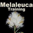 Melaleuca Business Training icône