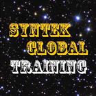 in Syntek Global Biz आइकन