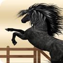 Horse Race Jumping Quest - iHorse Championship APK