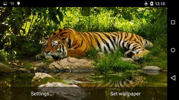 Tiger Live Wallpaper 4K اسکرین شاٹ 1