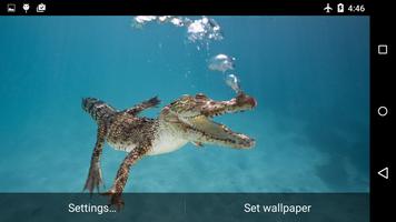 Crocodile 3D Live Wallpaper capture d'écran 1