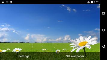 Daisy Live Wallpaper 4K اسکرین شاٹ 1