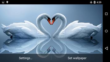 برنامه‌نما Swans Live Wallpaper عکس از صفحه