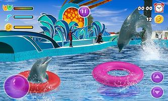 Dolphin Water Stunts Show постер