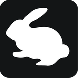 showabbit