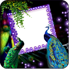 Love Bird Insta Dp Maker icono