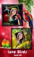 Love Bird Insta Dp Maker-poster