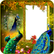 Peacock Insta DP Maker