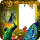 Peacock Insta DP иконка