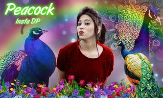 Peacock Insta DP পোস্টার