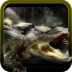 Furious Crocodile Serangan Sim