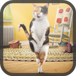 Фотошоп. Приколы и шутки