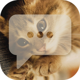 Cute Cat - Messaging 7 icon