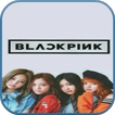 Blackpink Beautiful Photo Collection