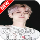 EXO BaekHyun Cute Funny APK