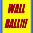 WALL BALL FREE!!! PUZZLE GAME