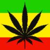 WEED HEADS 420 APK