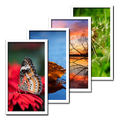 Backgrounds HD