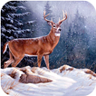Deer Hunting 2016 ™ : Ice Age