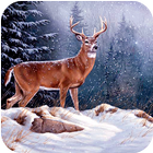Deer Hunting 2016 ™ : Ice Age icône