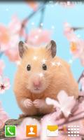 Cute Hamster Live Wallpapers 포스터