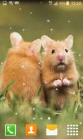 Cute Hamster Live Wallpapers 스크린샷 2