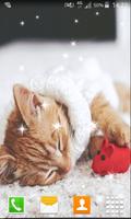 Lazy Kitten Live Wallpapers اسکرین شاٹ 2