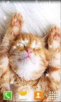 Lazy Kitten Live Wallpapers تصوير الشاشة 3