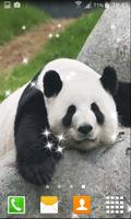 2 Schermata Lazy Panda Live Wallpapers