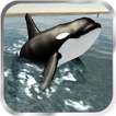 ”Orca Whale Simulator 3D